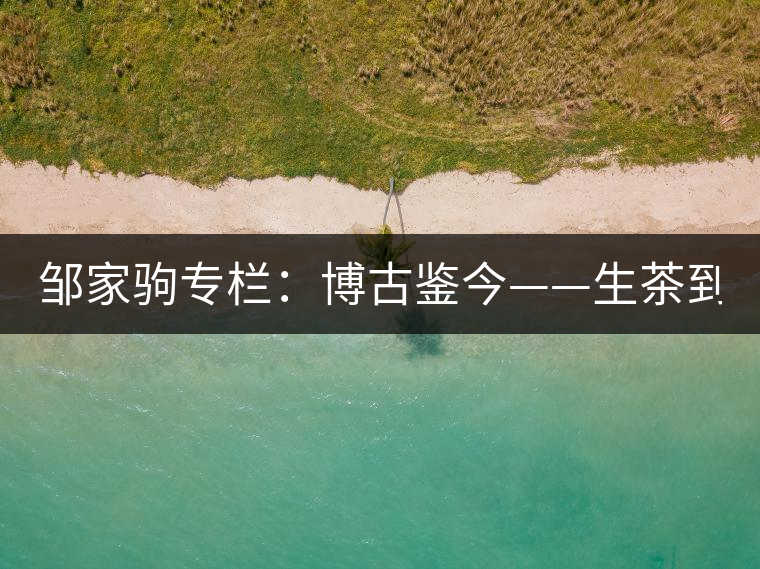 鄒家駒專欄:博古鑒今——生茶到底是不是普洱茶? 鄒家駒專欄:博古鑒今——生茶到底是不是普洱茶?