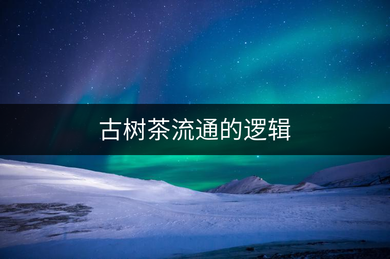 古樹茶流通的邏輯 古樹茶流通的邏輯