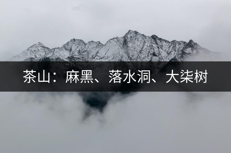 茶山:麻黑、落水洞、大柒樹 茶山:麻黑、落水洞、大柒樹
