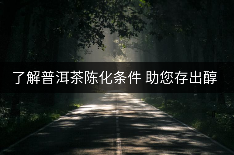 了解普洱茶陳化條件 助您存出醇香普洱茶