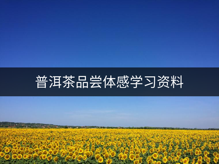 普洱茶品嘗體感學習資料 普洱茶品嘗體感學習資料