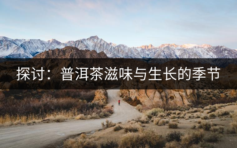 探討：普洱茶滋味與生長的季節