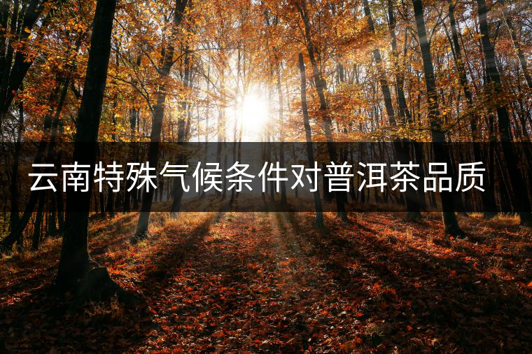 云南特殊氣候條件對普洱茶品質的影響