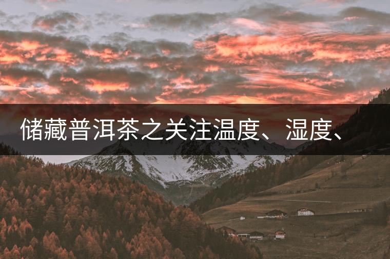 儲藏普洱茶之關注溫度、濕度、異味因素影響