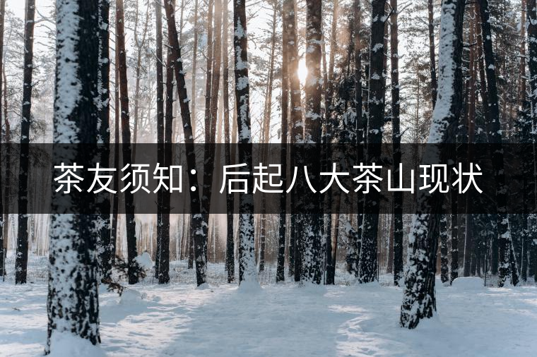 茶友須知:后起八大茶山現(xiàn)狀 茶友須知:后起八大茶山現(xiàn)狀