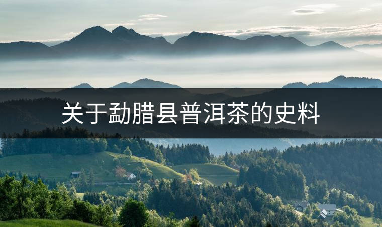 關于勐臘縣普洱茶的史料 關于勐臘縣普洱茶的史料