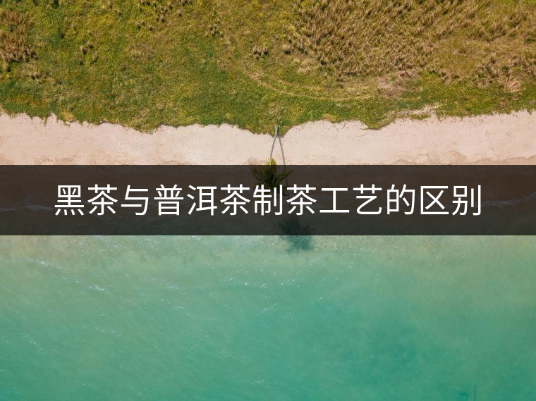 黑茶與普洱茶制茶工藝的區別 黑茶與普洱茶制茶工藝的區別