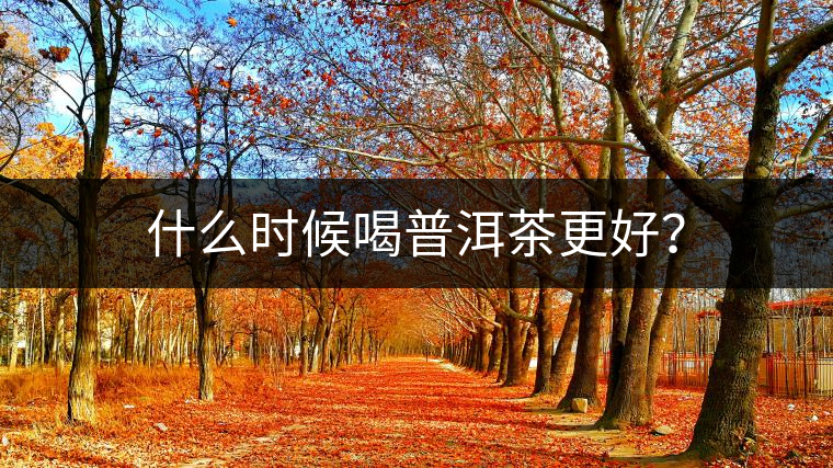 什么時候喝普洱茶更好？