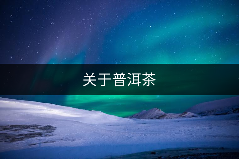 關于普洱茶 關于普洱茶