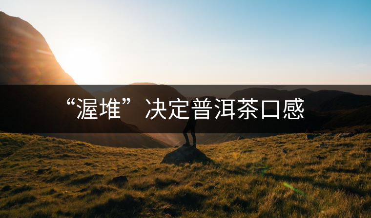 “渥堆”決定普洱茶口感