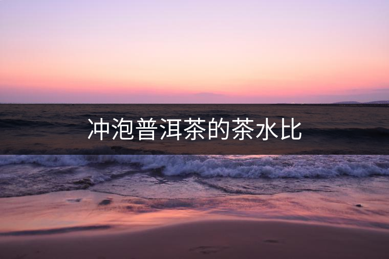 沖泡普洱茶的茶水比 沖泡普洱茶的茶水比