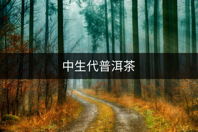 中生代普洱茶 中生代普洱茶