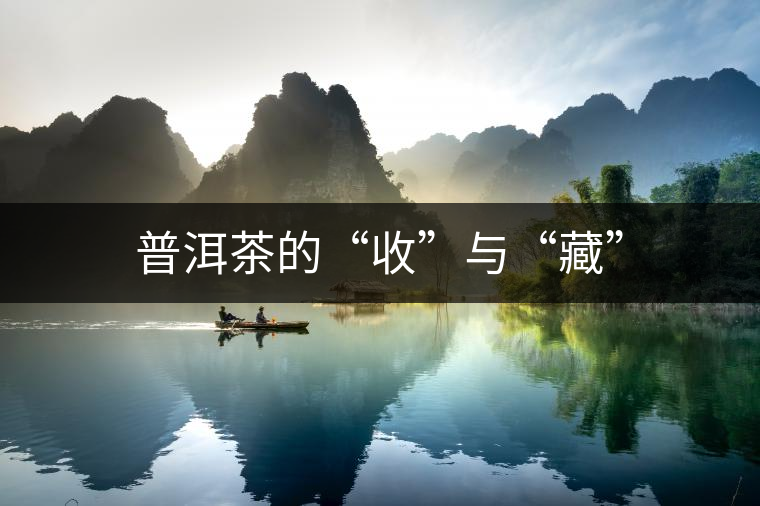 普洱茶的“收”與“藏” 普洱茶的“收”與“藏”