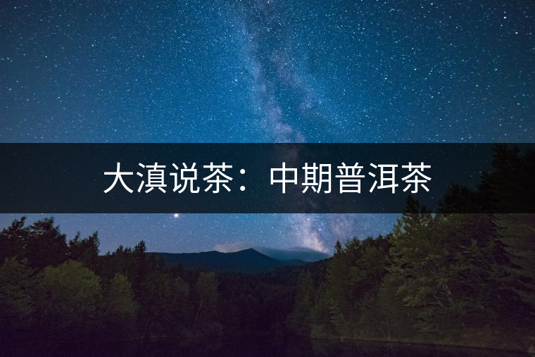 大滇說茶:中期普洱茶 大滇說茶:中期普洱茶