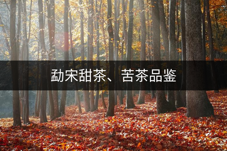 勐宋甜茶、苦茶品鑒