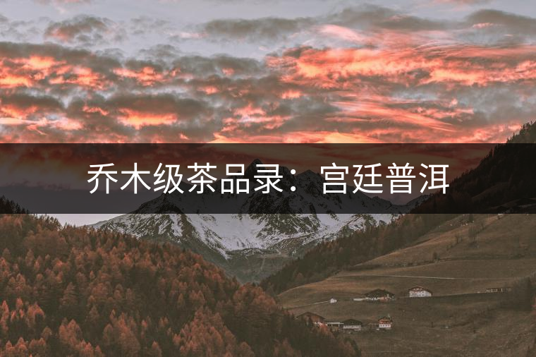 喬木級(jí)茶品錄：宮廷普洱