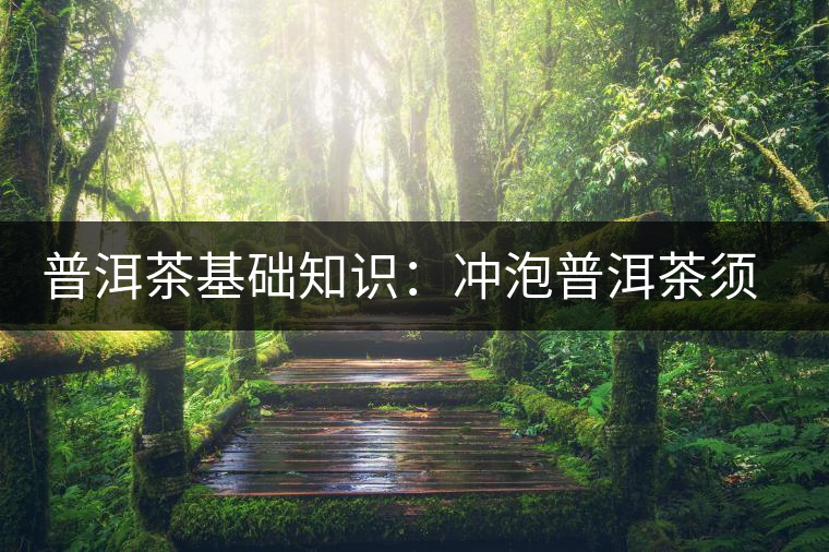 普洱茶基礎(chǔ)知識:沖泡普洱茶須知 普洱茶基礎(chǔ)知識:沖泡普洱茶須知