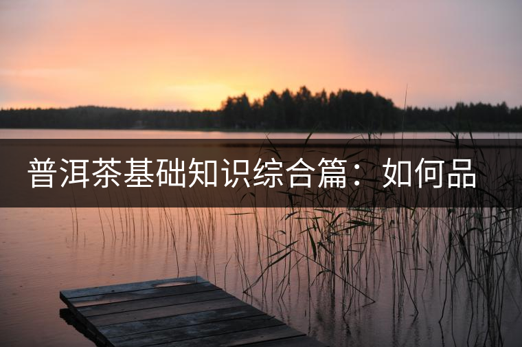 普洱茶基礎知識綜合篇:如何品鑒普洱茶 普洱茶基礎知識綜合篇:如何品鑒普洱茶