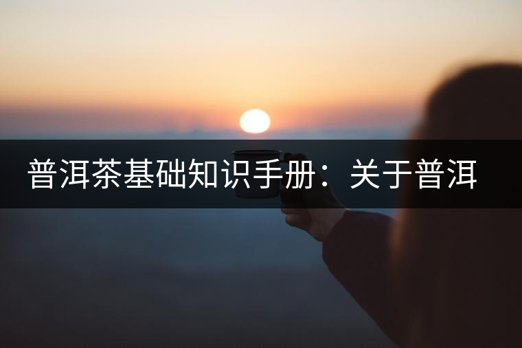 普洱茶基礎知識手冊:關于普洱茶的“六辨” 普洱茶基礎知識手冊:關于普洱茶的“六辨”