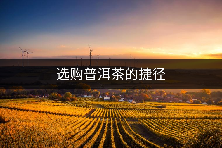 選購普洱茶的捷徑