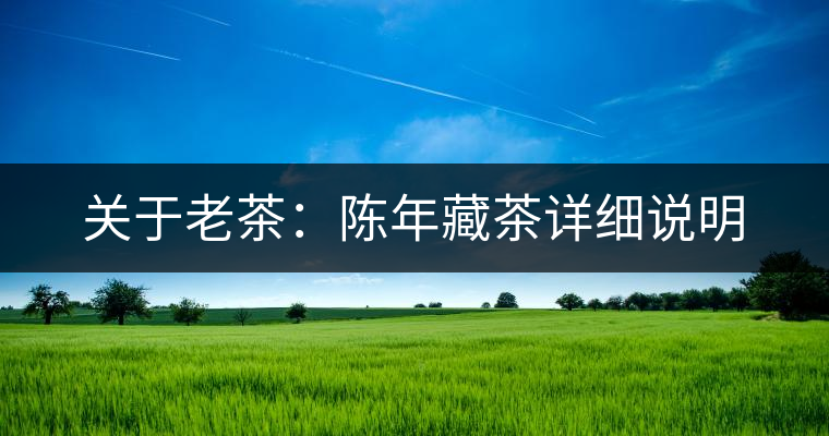 關于老茶：陳年藏茶詳細說明