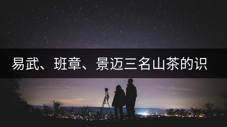 易武、班章、景邁三名山茶的識別