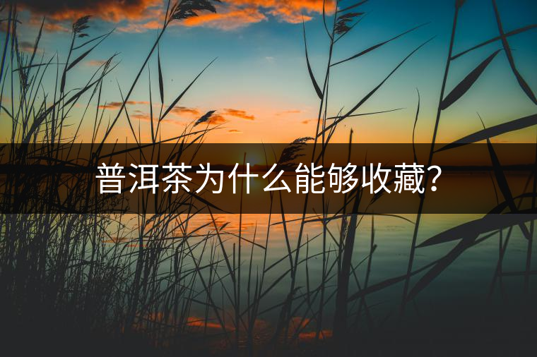 普洱茶為什么能夠收藏? 普洱茶為什么能夠收藏?