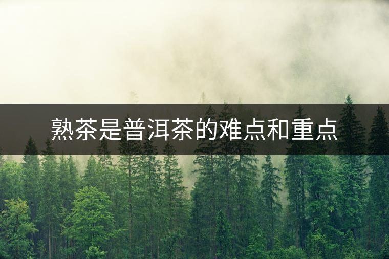 熟茶是普洱茶的難點(diǎn)和重點(diǎn)