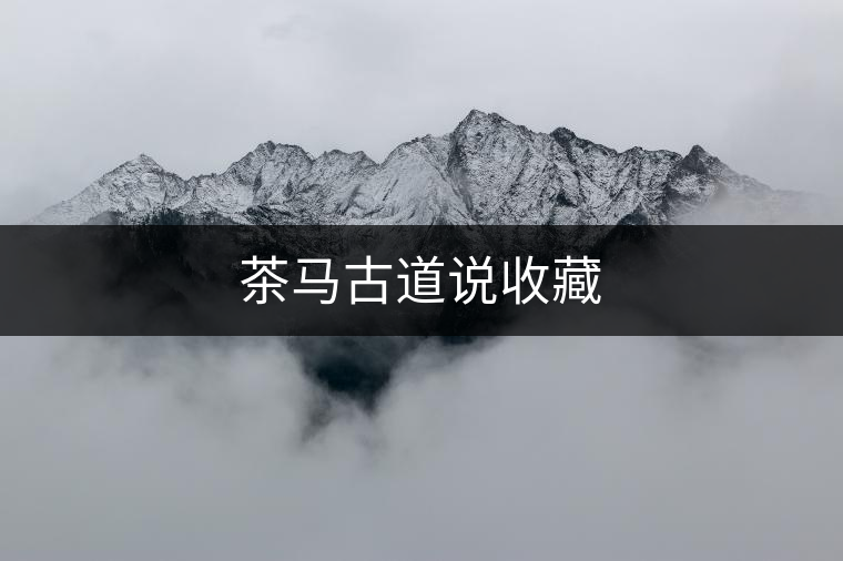 茶馬古道說收藏 茶馬古道說收藏