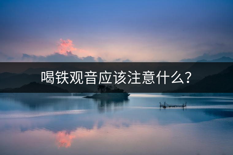 喝鐵觀音應該注意什么？
