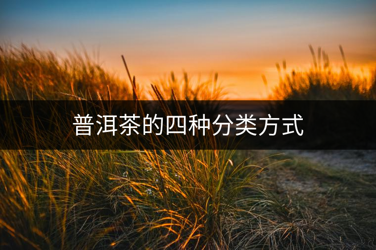 普洱茶的四種分類(lèi)方式 普洱茶的四種分類(lèi)方式