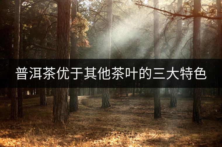 普洱茶優于其他茶葉的三大特色 普洱茶優于其他茶葉的三大特色