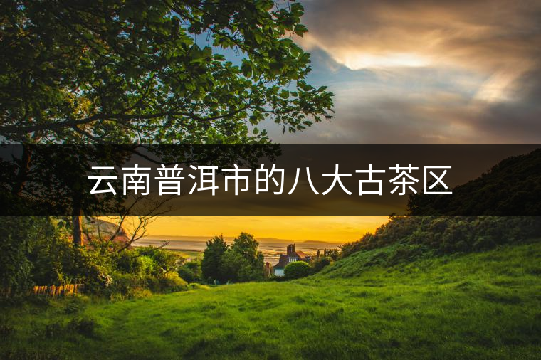 云南普洱市的八大古茶區 云南普洱市的八大古茶區
