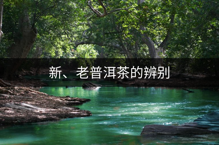新、老普洱茶的辨別 新、老普洱茶的辨別