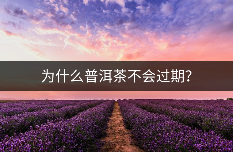 為什么普洱茶不會過期? 為什么普洱茶不會過期?