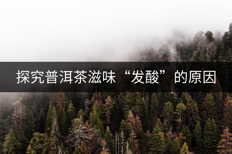 探究普洱茶滋味“發酸”的原因 探究普洱茶滋味“發酸”的原因