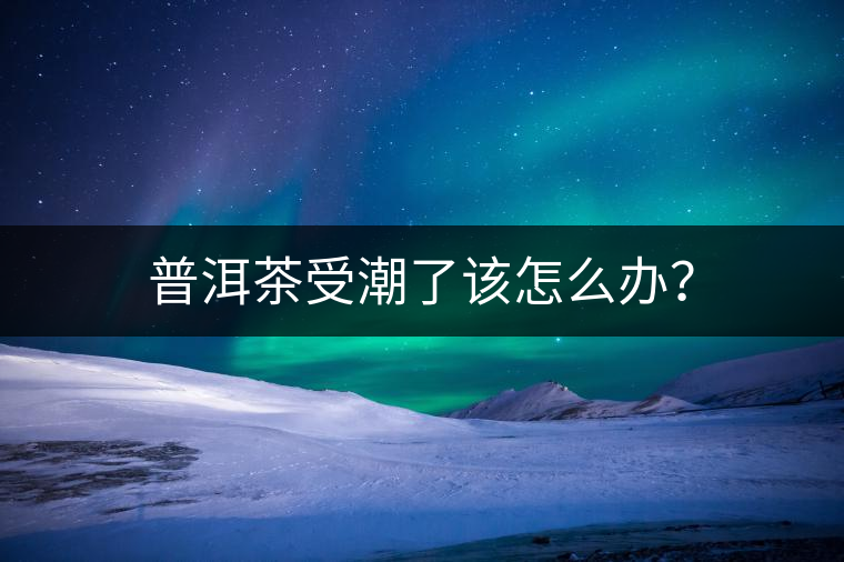 普洱茶受潮了該怎么辦? 普洱茶受潮了該怎么辦?