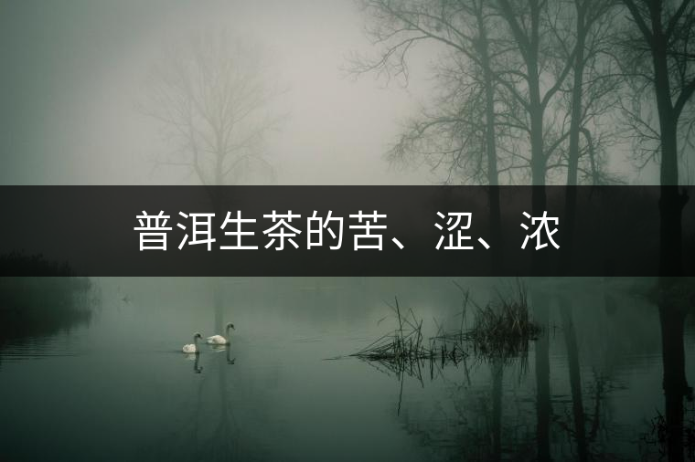 普洱生茶的苦、澀、濃 普洱生茶的苦、澀、濃