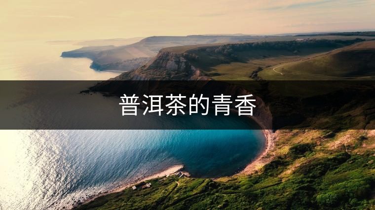 普洱茶的青香 普洱茶的青香