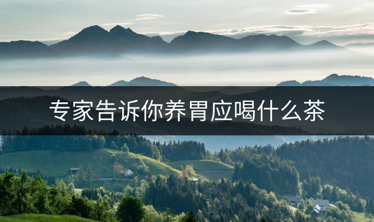 專家告訴你養胃應喝什么茶