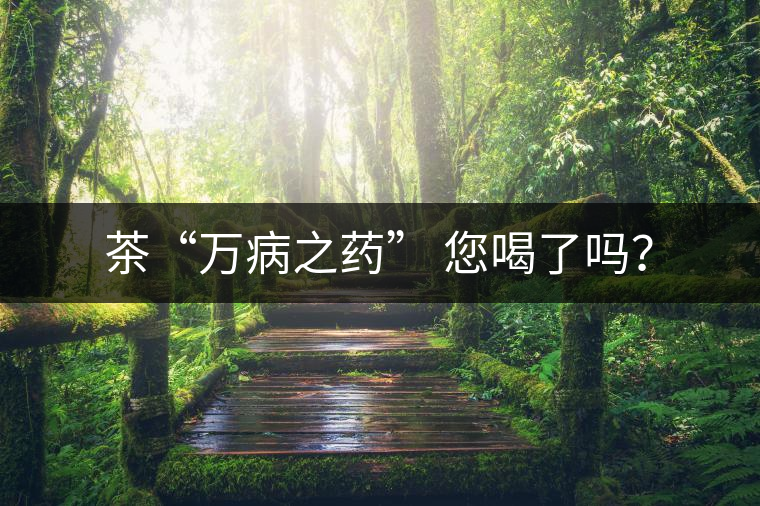 茶“萬病之藥” 您喝了嗎? 茶“萬病之藥” 您喝了嗎?