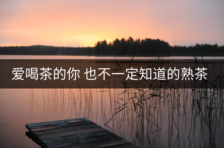 愛喝茶的你 也不一定知道的熟茶知識！