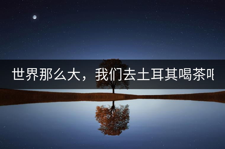 世界那么大，我們去土耳其喝茶吧！