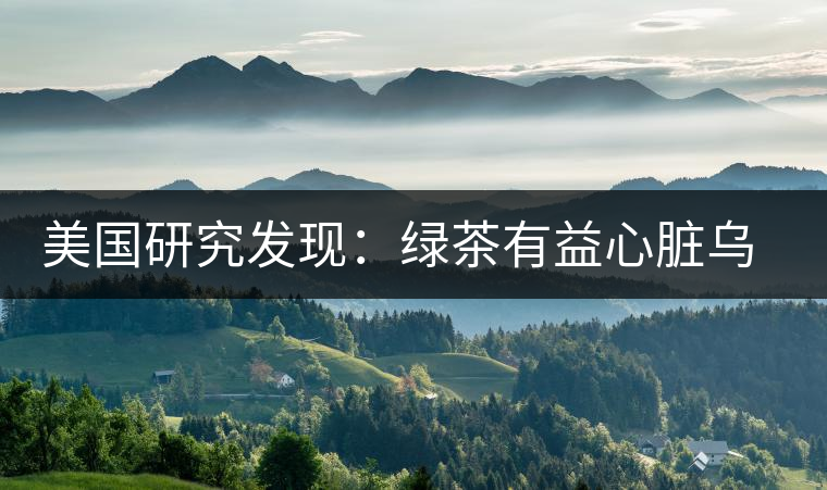 美國研究發現：綠茶有益心臟烏龍茶瘦腰身