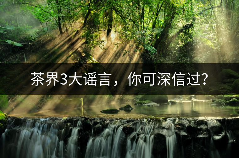 茶界3大謠言，你可深信過(guò)？