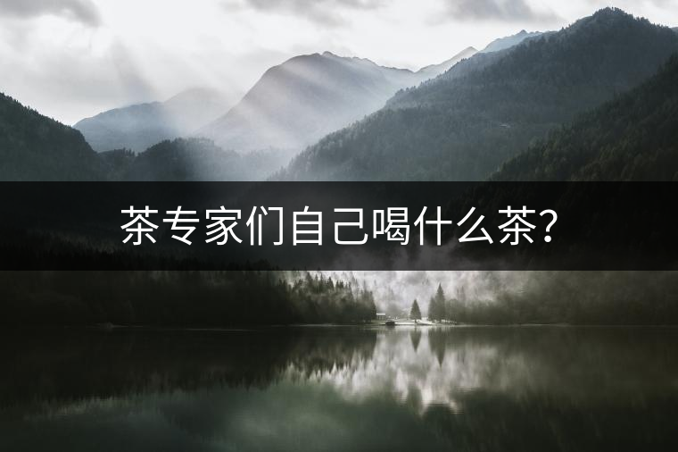 茶專家們自己喝什么茶? 茶專家們自己喝什么茶?