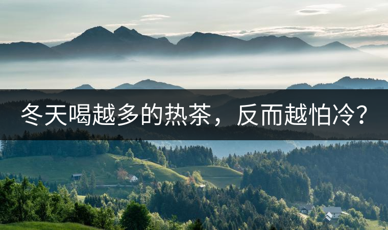 冬天喝越多的熱茶,反而越怕冷? 冬天喝越多的熱茶,反而越怕冷?