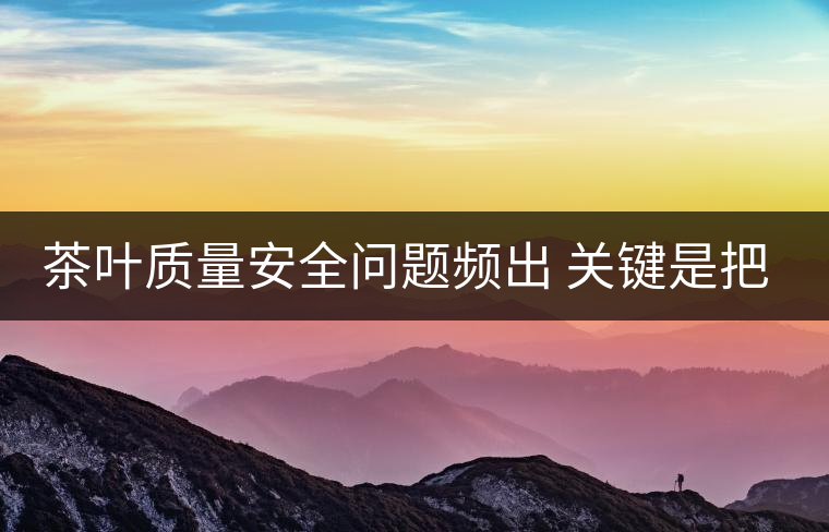 茶葉質量安全問題頻出 關鍵是把控源頭 茶葉質量安全問題頻出 關鍵是把控源頭