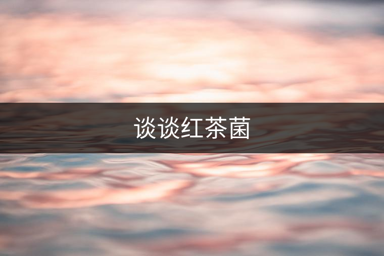 談談紅茶菌 談談紅茶菌