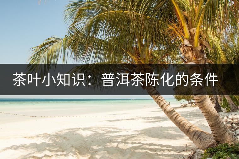 茶葉小知識:普洱茶陳化的條件和方法 茶葉小知識:普洱茶陳化的條件和方法